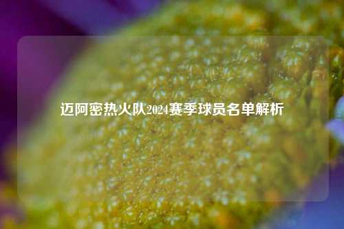 迈阿密热火队2024赛季球员名单解析