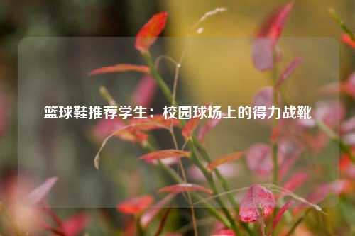 篮球鞋推荐学生：校园球场上的得力战靴