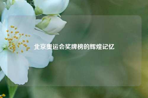 北京奥运会奖牌榜的辉煌记忆