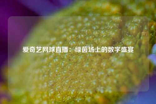爱奇艺网球直播：绿茵场上的数字盛宴