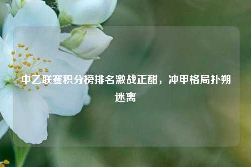 中乙联赛积分榜排名激战正酣，冲甲格局扑朔迷离